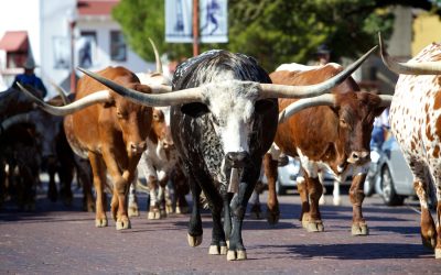 What Dangers Are Road-Blocking Your Financial Progress?