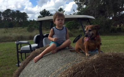 Thanksgiving and Home for the Holidays