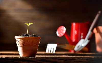 Retirement can mark an amazing new beginning