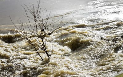 Proactive Accountability – The Most Common Financial Procrastination Items