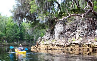Way Down Upon the Suwannee River….
