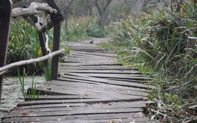 Three Things to Remember in a Volatile Market